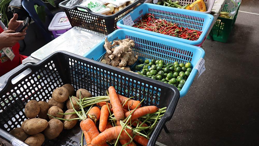 Variety of vegetables