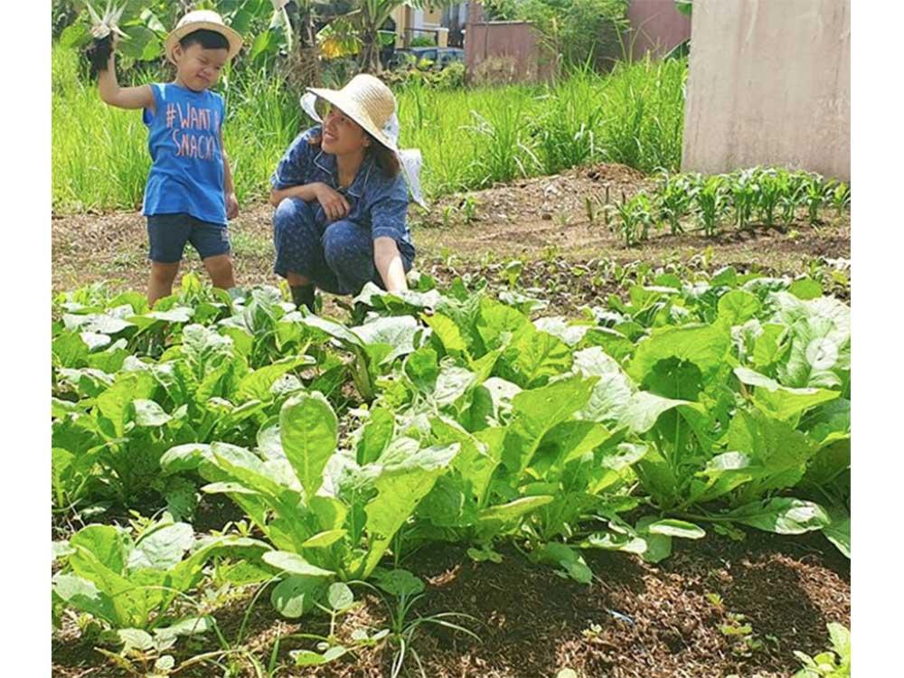 Farming or gardening