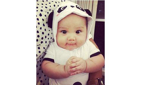 Baby Panda