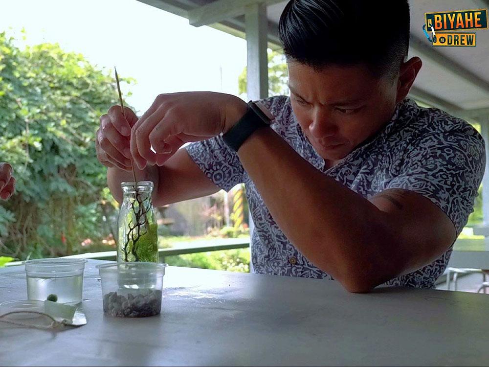 Sheng Yang Leisure Farm