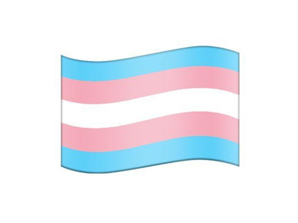 Transgender Flag