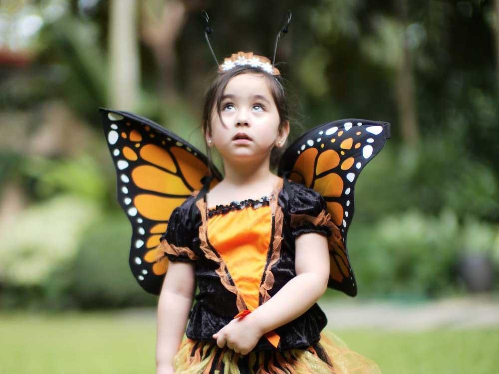 Newly bloomed butterfly