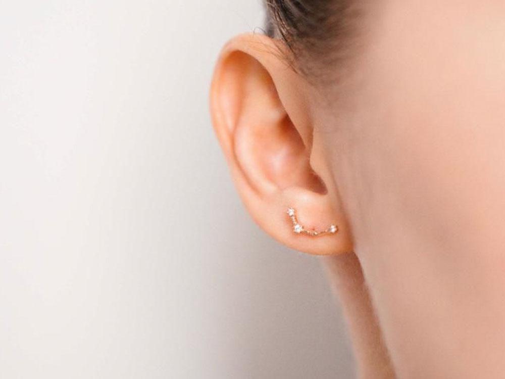 Aquarius Zodiac Earrings  around P1,200