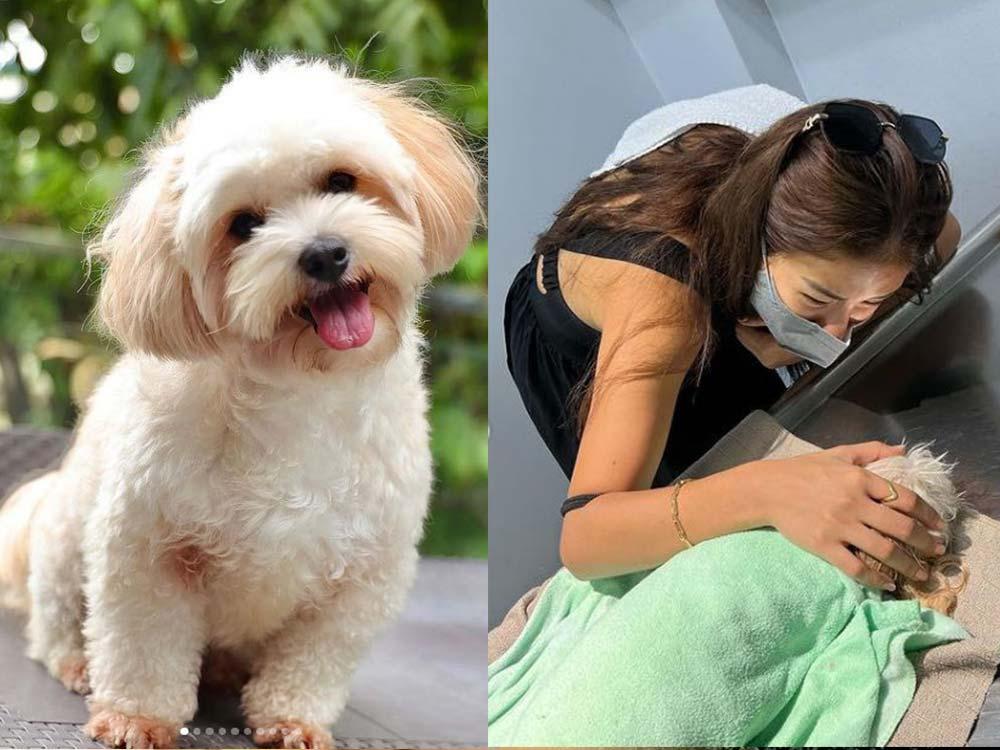 Sanya Lopez and Jongjong 