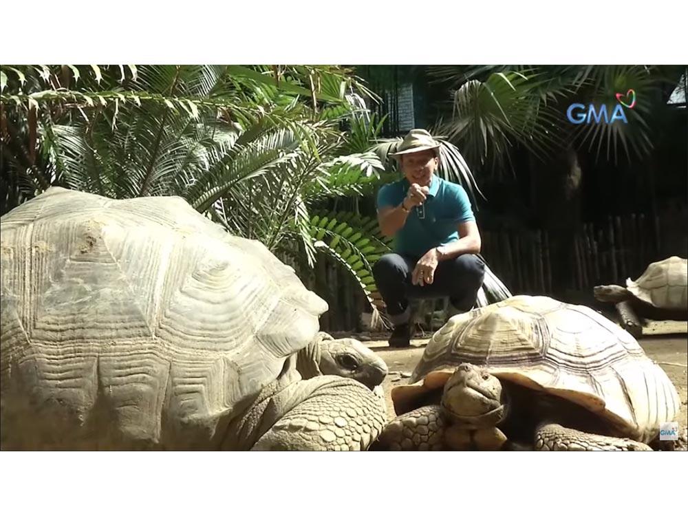 Kuya Kim Atienza's collection of turtles and tortoises