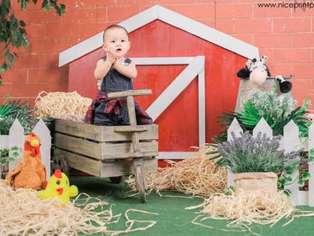 Lil farmer