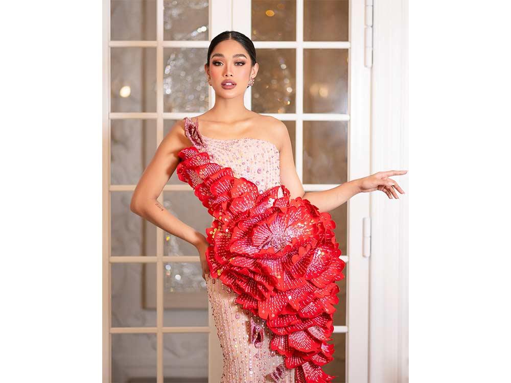 Reina Hispanoamericana 2024