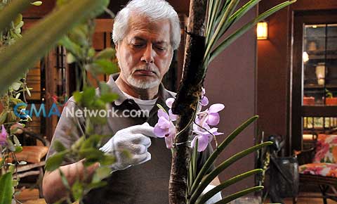 Meet the cast of 'My Lady Boss'