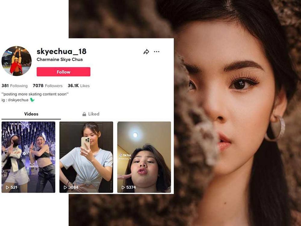 Skye's social media accounts