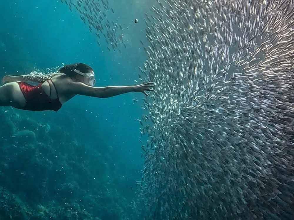 Freediving