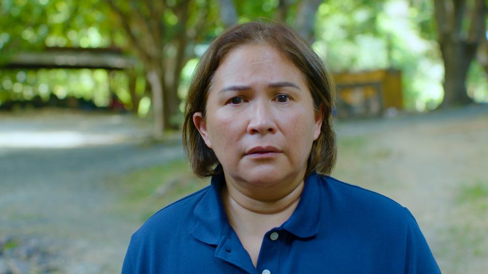 Janice de Belen