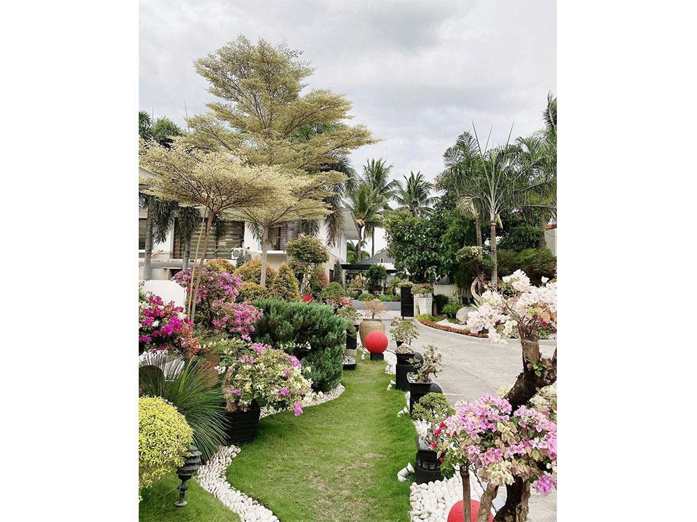 Jinkee Pacquiao - Pink plants are the cutest. ✨💕💖