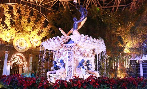 Shower Heart with love