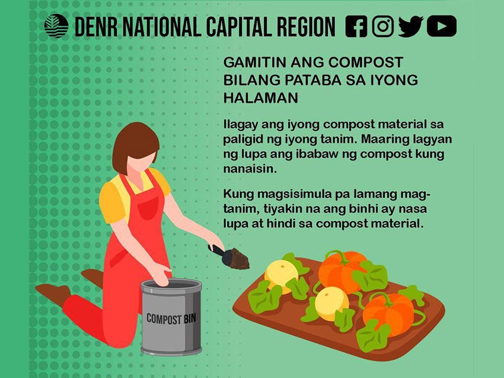 Use the compost as fertilizer for your plants