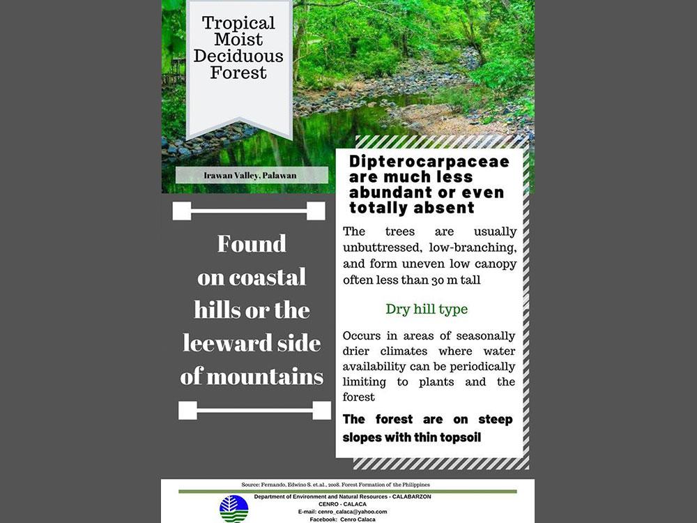 Tropical Moist Deciduous Forest