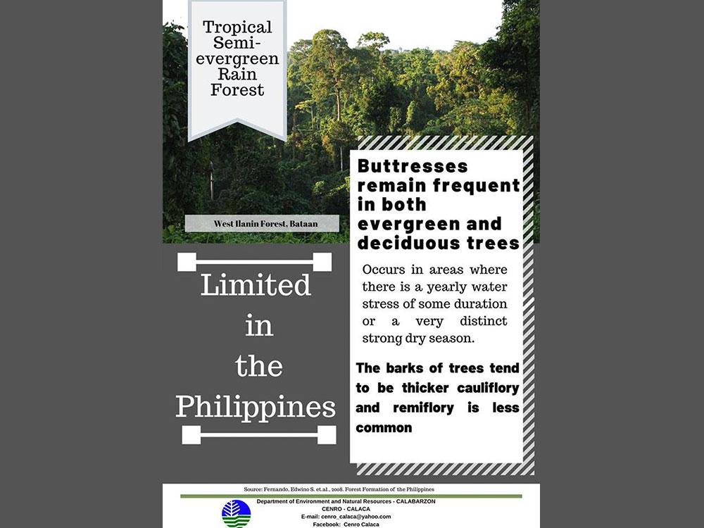 Tropical Semi-Evergreen Rain Forest