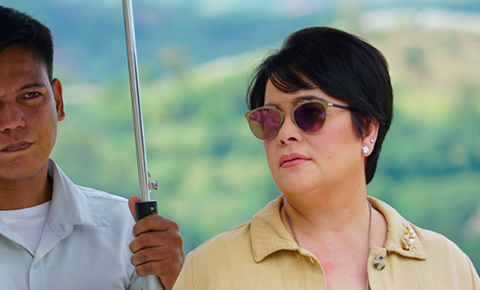 'The Millionaire's Wife'