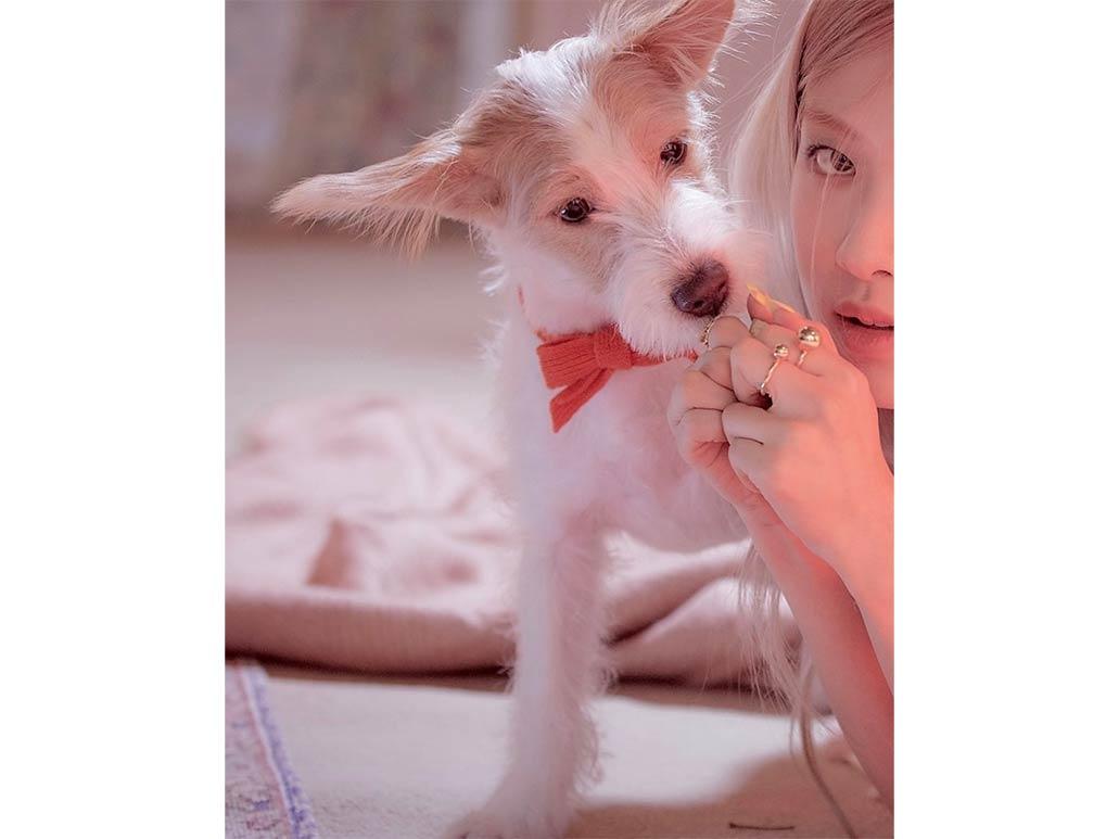 BLACKPINK's Rosé and Hank