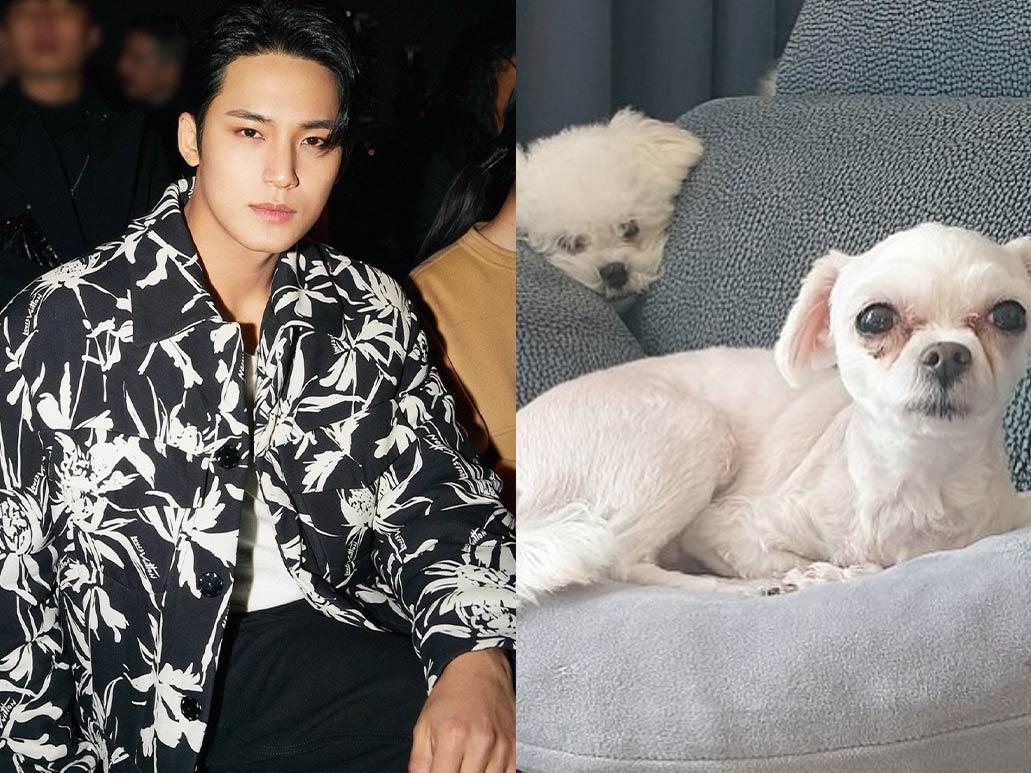 SEVENTEEN's Mingyu and Aji