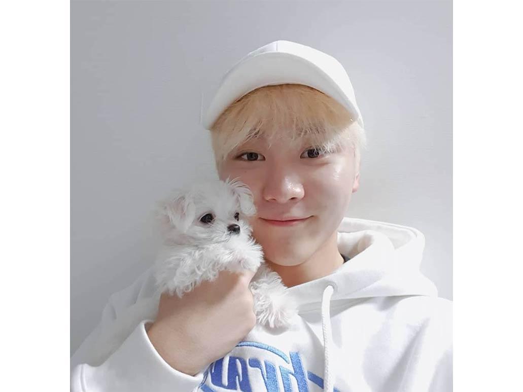 SEVENTEEN's Seungkwan and Bokkeu