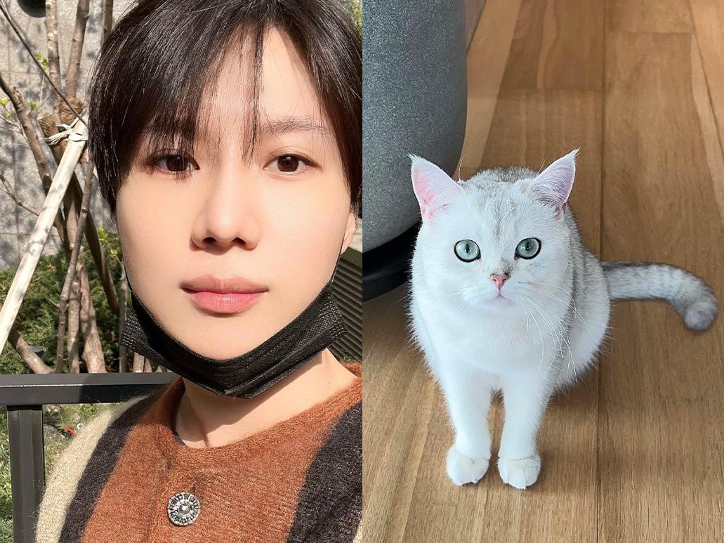 SHINee's Taemin and Ddaeng