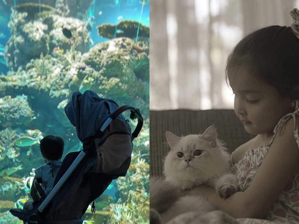 Love for animals