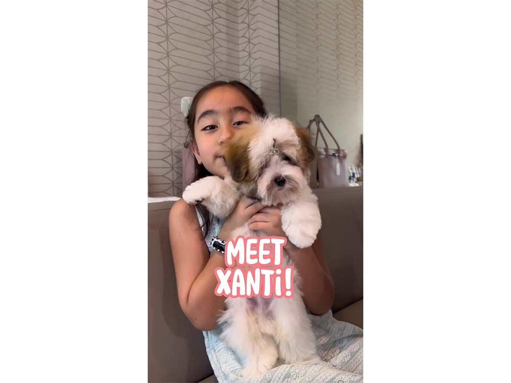 Scarlet Snow Belo