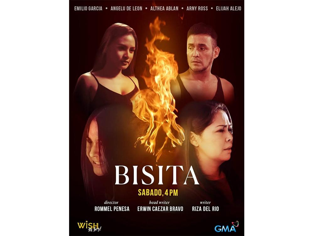 Bisita