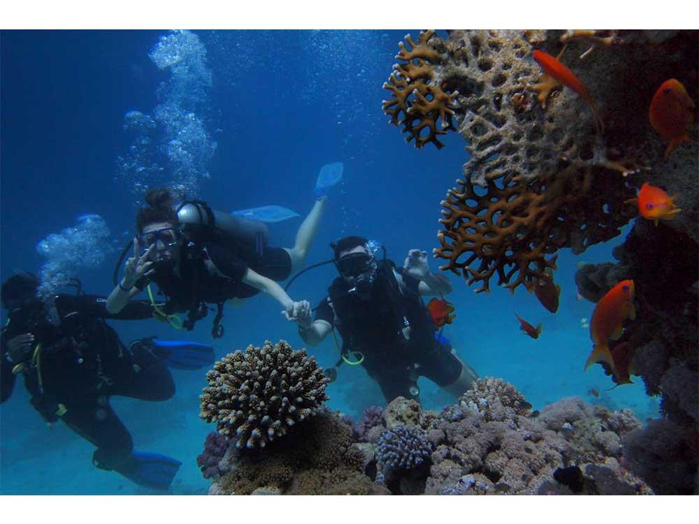 National Marine Sanctuaries