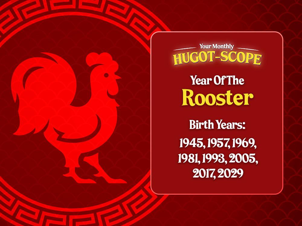 Rooster (Tandang)