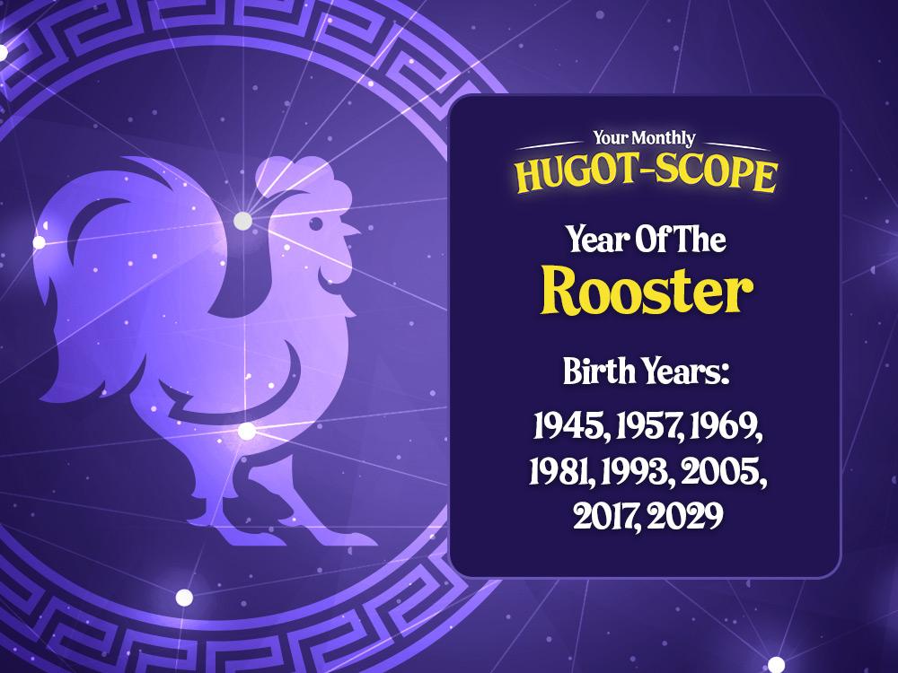 Rooster (Tandang)
