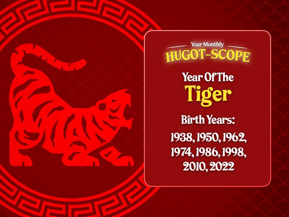Tiger (Tigre)