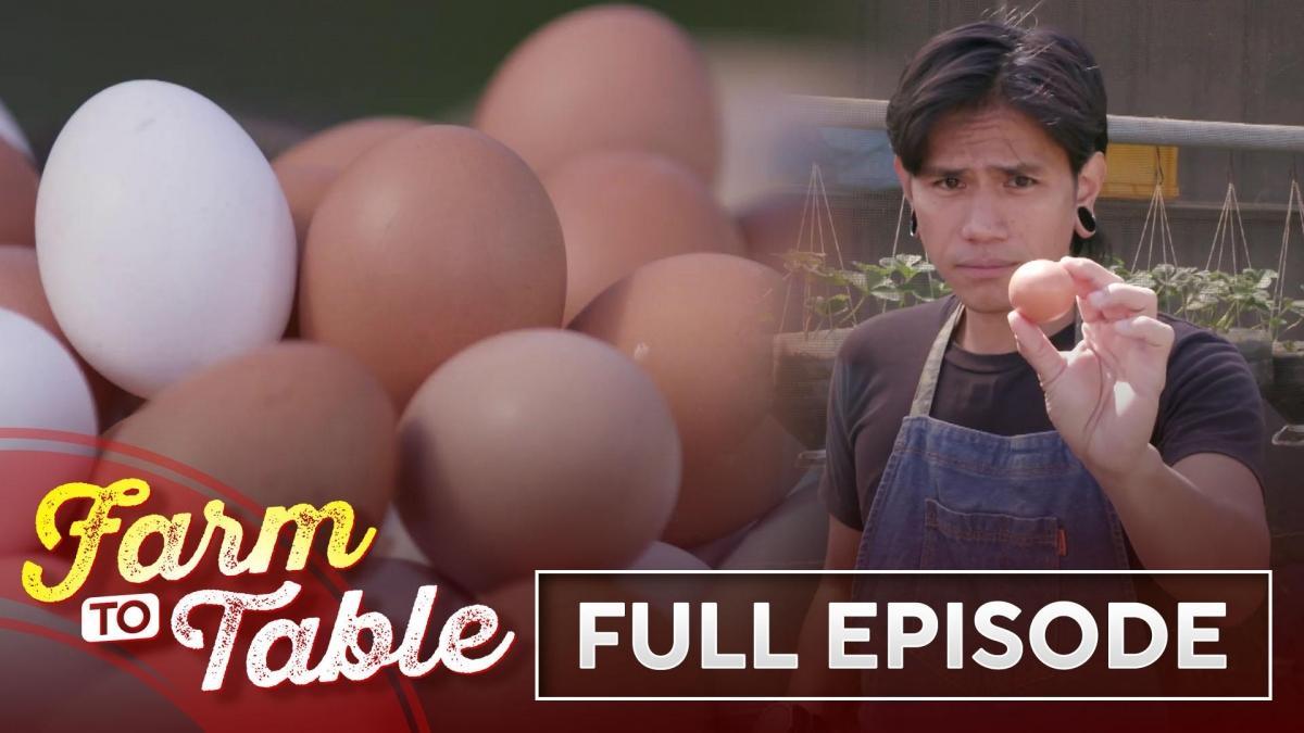 Royol Chef JR Royol shares his EGGcellent cooking techniques! (Full Episode ...
