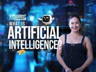 Straight from the Expert Artificial Intelligence