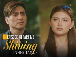 Shining Inheritance