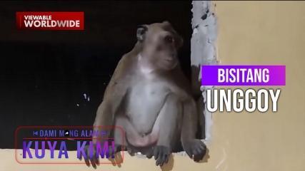 Dami Mong Alam, Kuya Kim