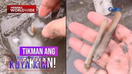Dami Mong Alam, Kuya Kim!