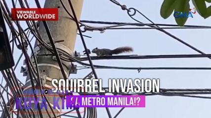 Dami Mong Alam, Kuya Kim!