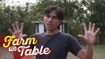 Farm To Table 