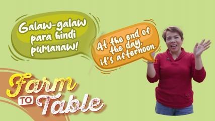 Farm To Table 