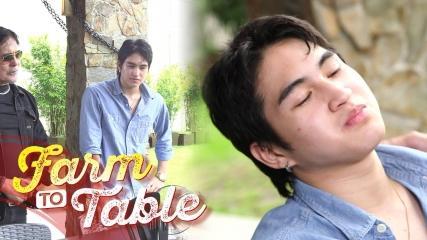 Farm To table 