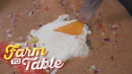 Farm To table 