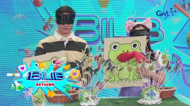iBilib: Can you feed a frog using your sense of touch?