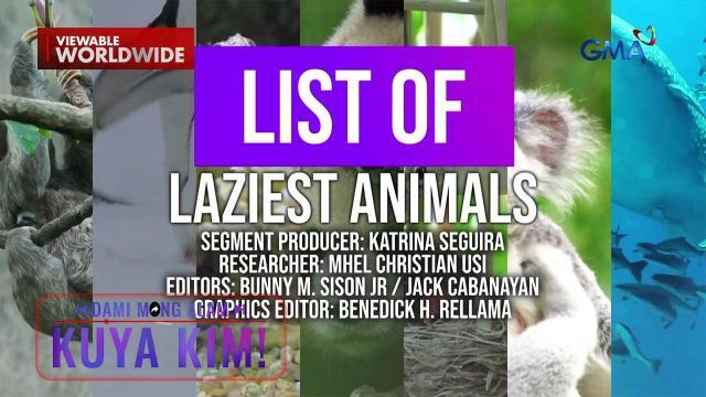 Laziest animals na matatagpuan sa iba't ibang panig ng mundo, alamin! | Dami Mong Alam, Kuya Kim!