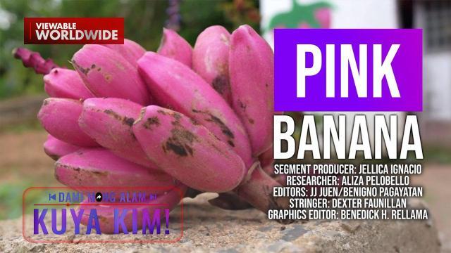 Pink na saging na mala-ice cream daw ang laman, tikman! | Dami Mong Alam, Kuya Kim!