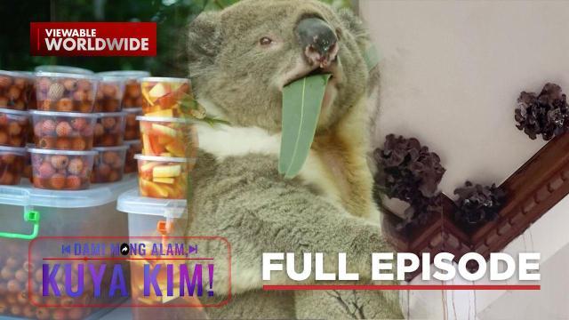 Mga amag, dumikit sa pader ng bahay!; Burong prutas at gulay, tikman! | Dami Mong Alam, Kuya Kim!