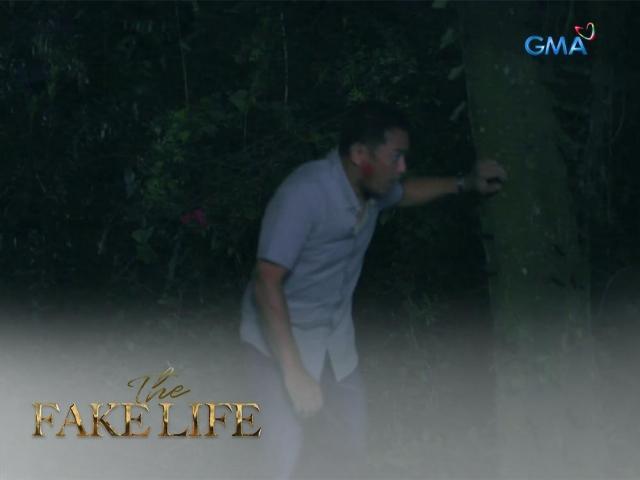 The Fake Life