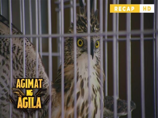 Agimat Ng Agila