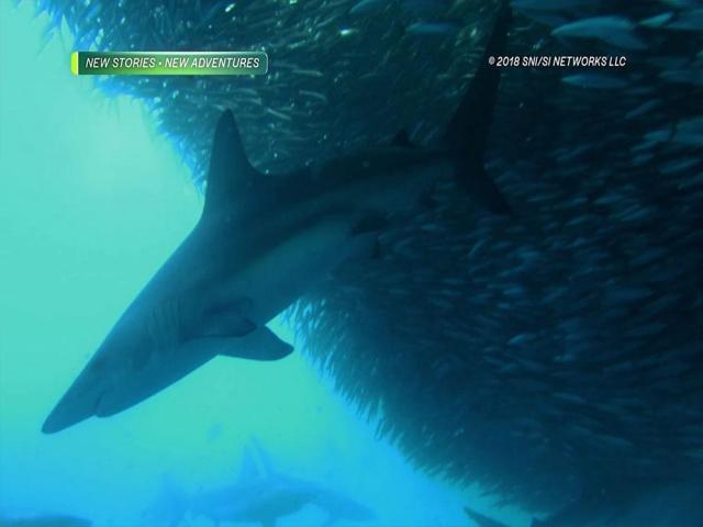 amazing earth, dingdong dantes, primetime king, best time ever, 6th anniversary, entertainment, infotainment, teaser, trailer, rss, rssfeed