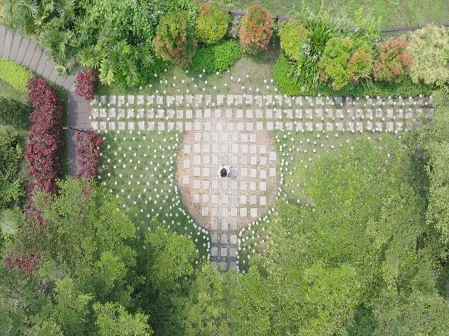 Jillian Ward, My Mother My Story